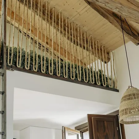 Etxetxu Branka Eta Ankora Getxo