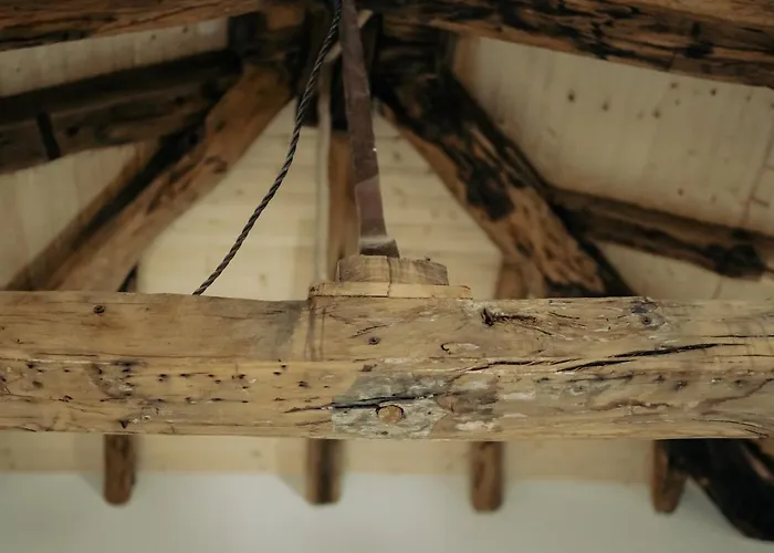 Etxetxu Branka Eta Ankora *